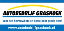 Auto Grashoek